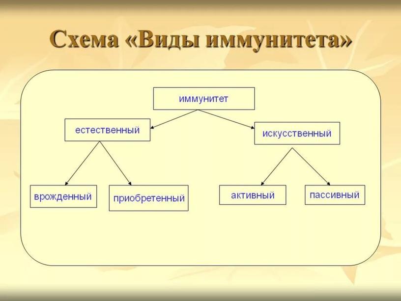 Презентация. Использование  схем и таблиц  на уроках географии и биологии