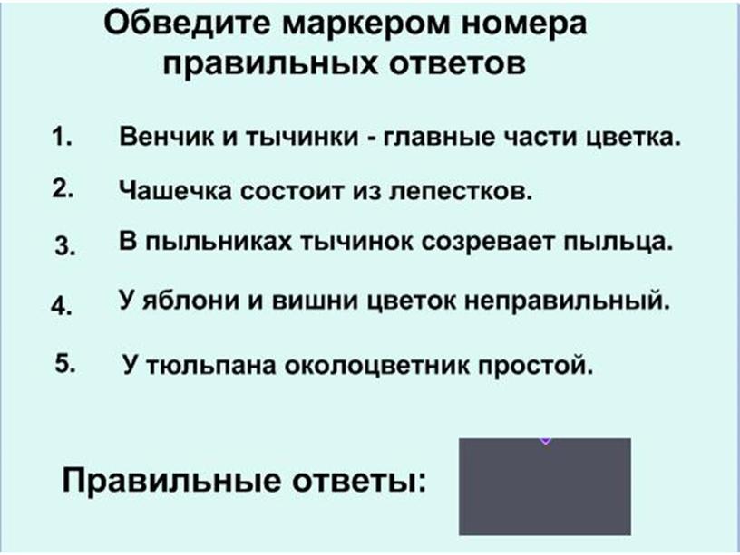 Соцветия