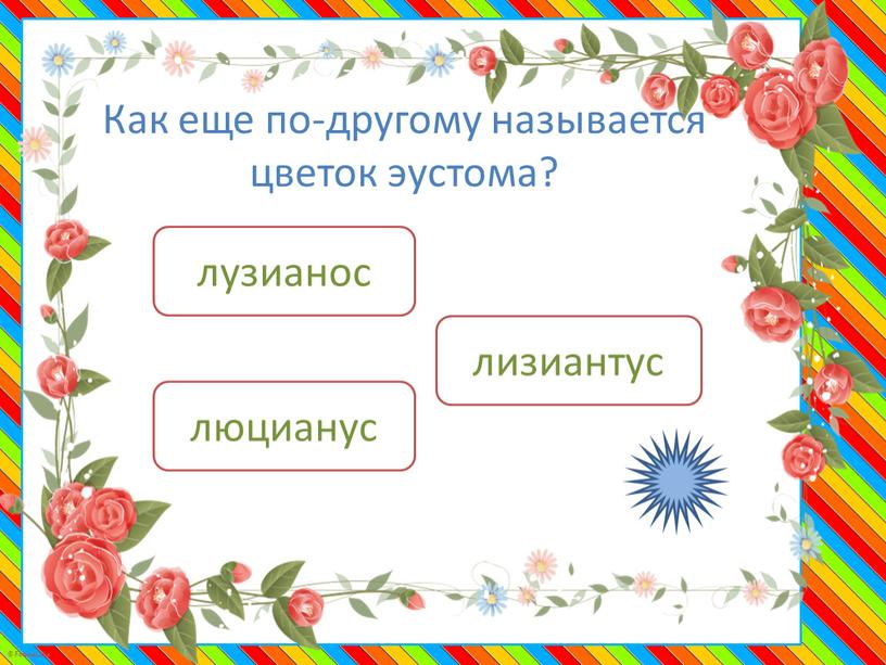 Как еще по-другому называется цветок эустома? лизиантус люцианус лузианос