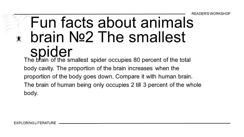 The brain of the smallest spider occupies 80 percent of the total body cavity