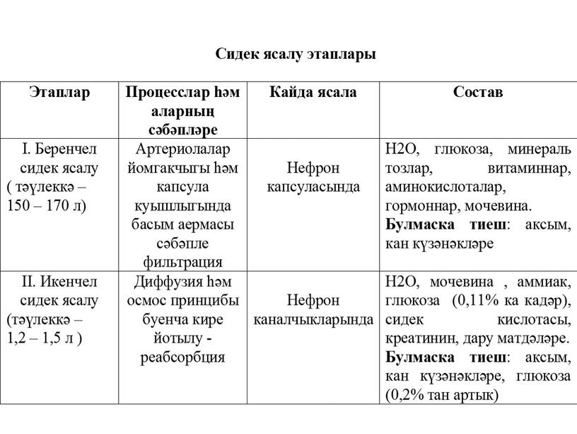 Презентация к уроку биологии в 8 классе "Органы мочевыделительной системы человека"