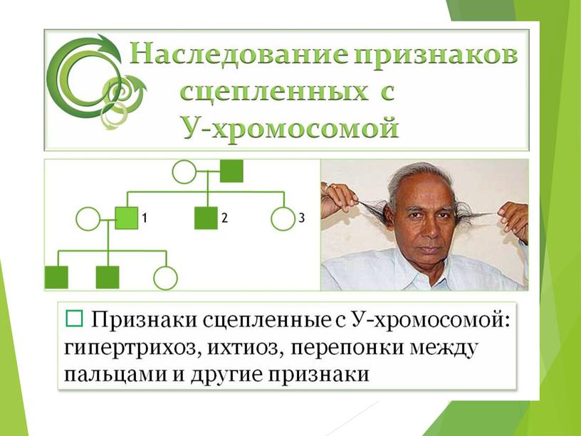 Презентация на тему: "Наследственные болезни человека"