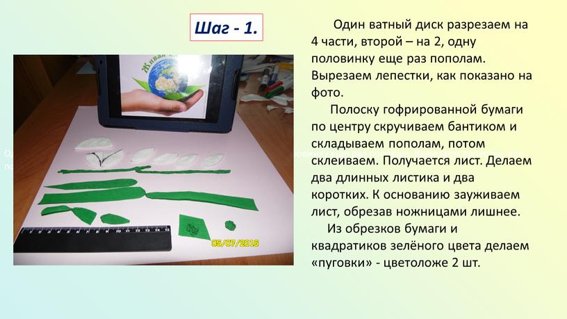 Один ватный диск разрезаем на 4 части, второй – на 2, одну половинку еще раз пополам