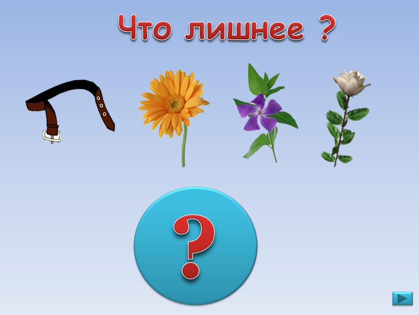 Что лишнее ? ?