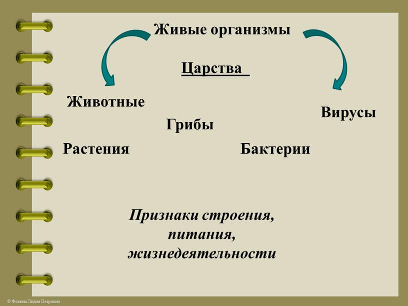 Живые организмы Царства Растения