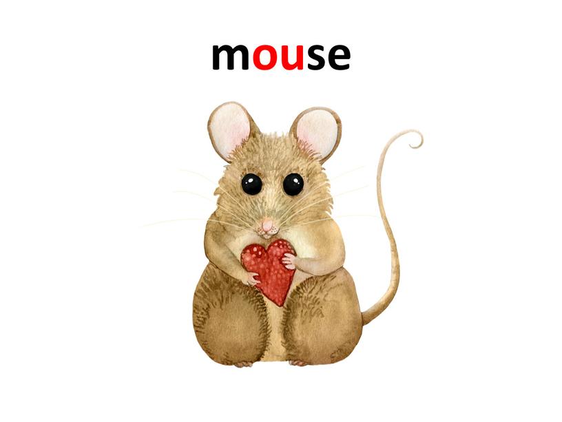 mouse