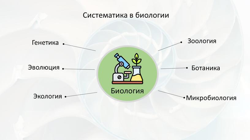 Систематика в биологии Биология