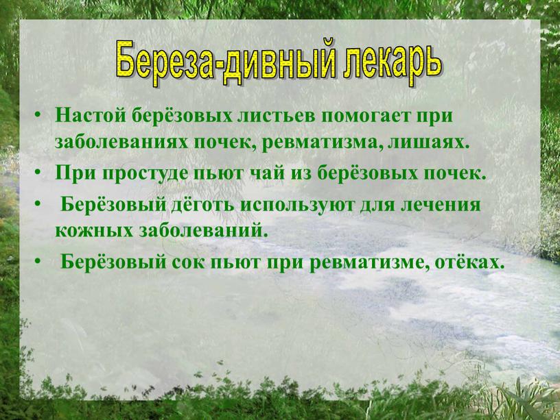 Настой берёзовых листьев помогает при заболеваниях почек, ревматизма, лишаях