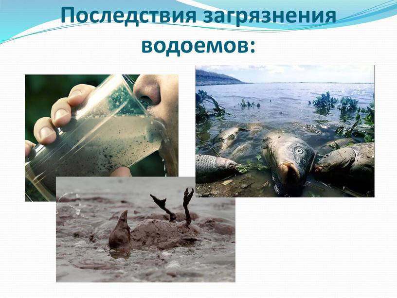 Последствия загрязнения водоемов: