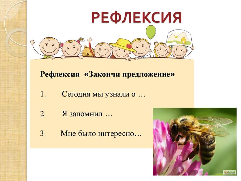 РЕФЛЕКСИЯ