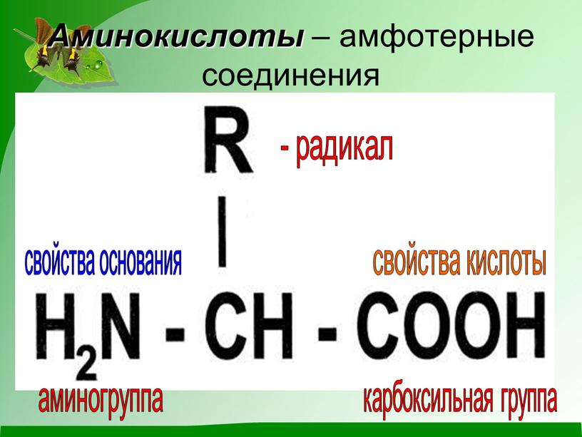 Аминокислоты – амфотерные соединения - радикал аминогруппа карбоксильная группа свойства основания свойства кислоты