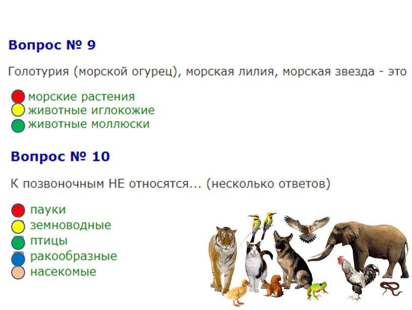 Тестовая работа по теме "Разнообразие животных". Окружающий мир (3 класс)