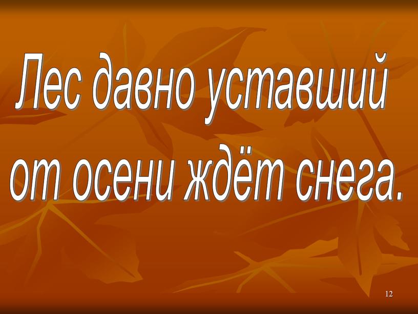 Лес давно уставший от осени ждёт снега