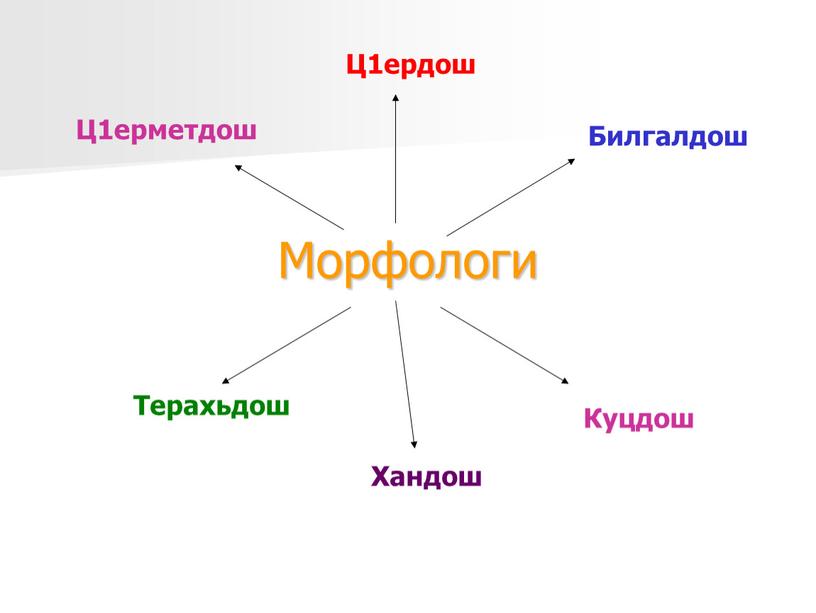 Морфологи Ц1ердош Билгалдош Ц1ерметдош