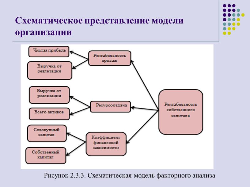 Схематическое представление модели организации