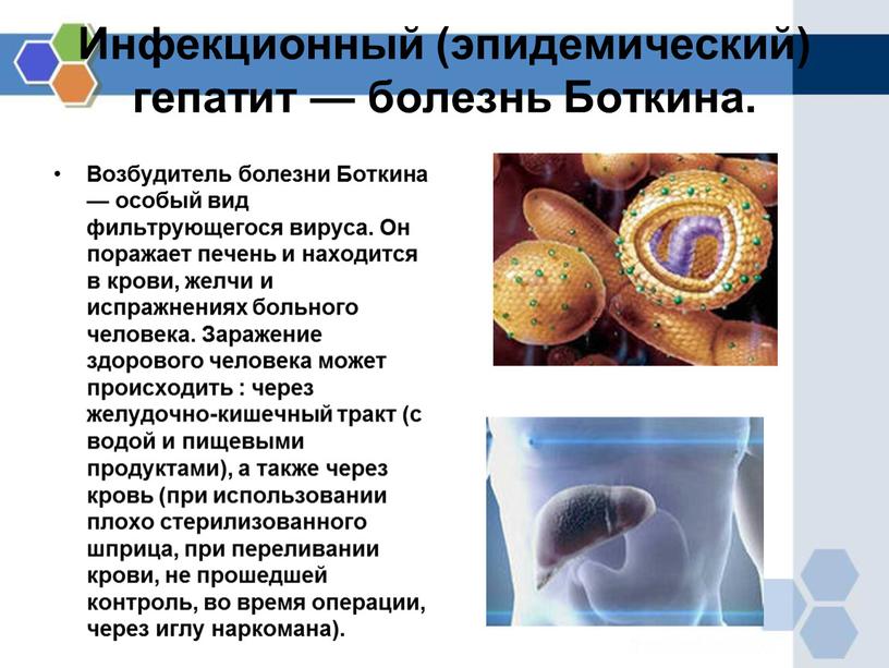 Инфекционный (эпидемический) гепатит — болезнь