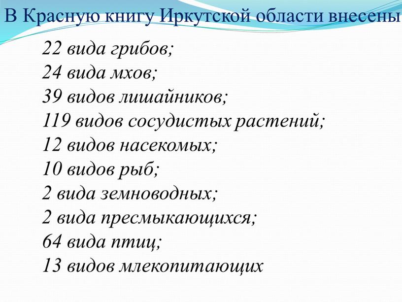 В Красную книгу Иркутской области внесены: