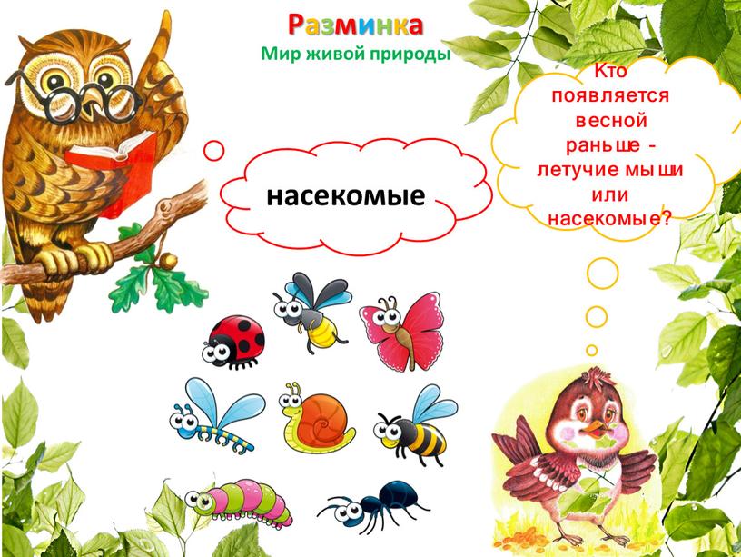 Разминка Мир живой природы Кто появляется весной раньше - летучие мыши или насекомые? насекомые