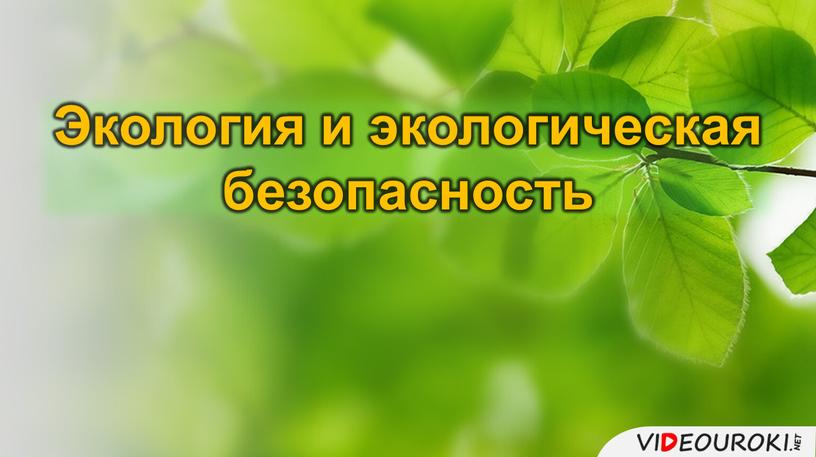 Экология и экологическая безопасность