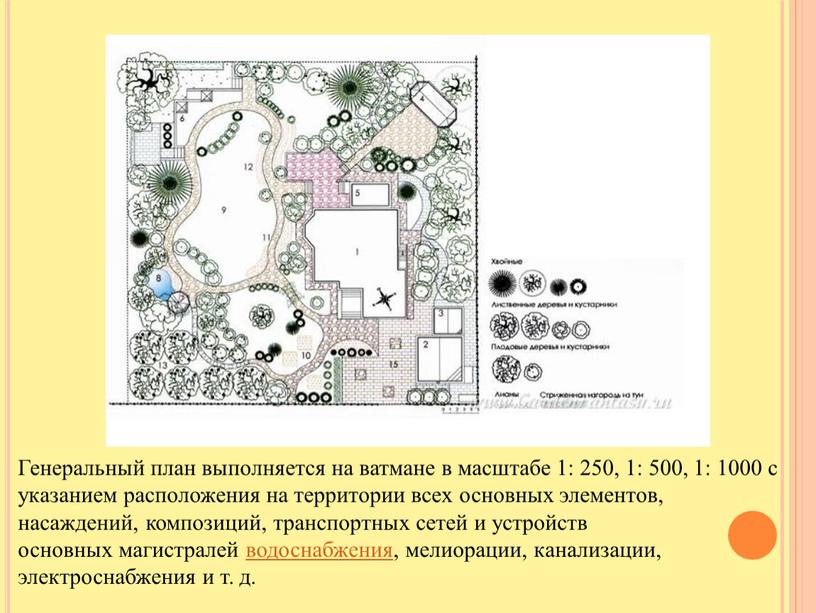 Генеральный план выполняется на ватмане в масштабе 1: 250, 1: 500, 1: 1000 с указанием расположения на территории всех основных элемен­тов, насаждений, композиций, транспортных сетей…