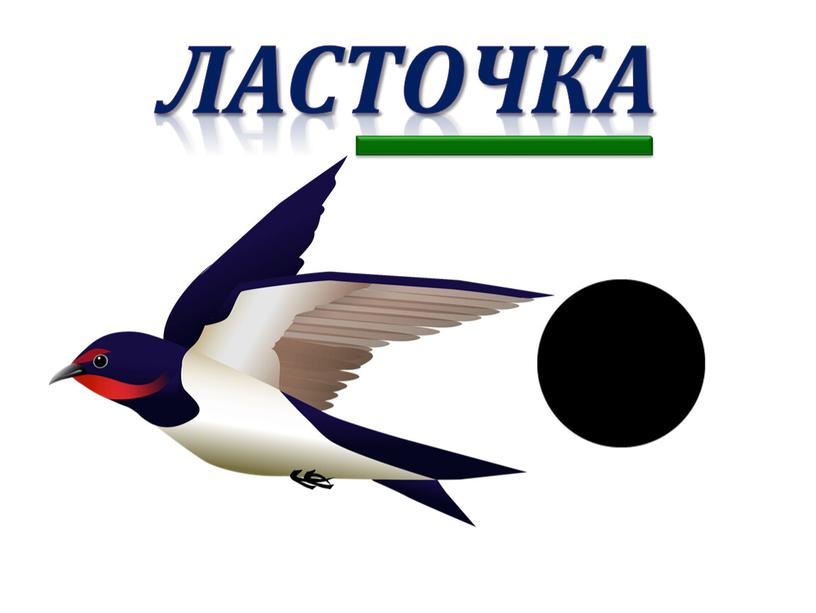 Ласточка