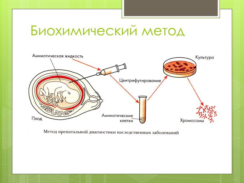 Биохимический метод картинки