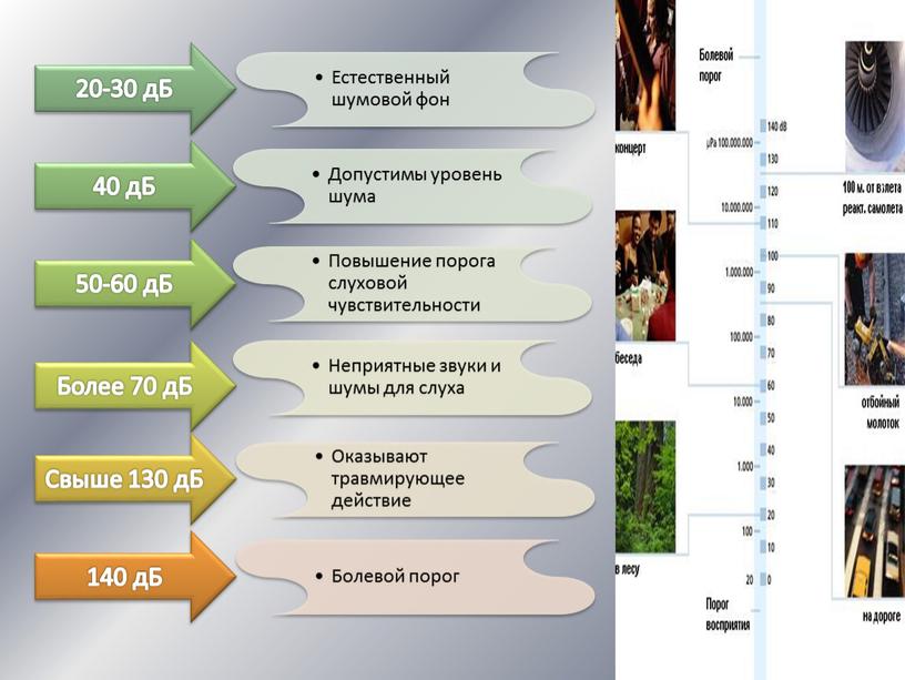 Презентация "Влияние звуков и шумов на организм человека" 9 класс