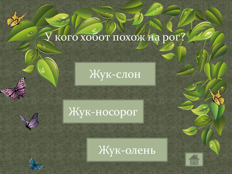 У кого хобот похож на рог? Жук-слон