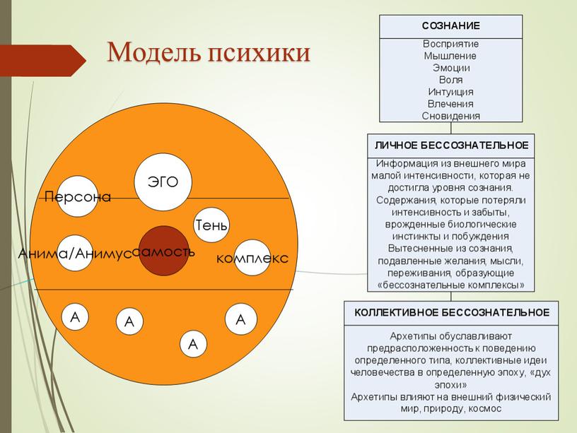 Модель психики с Анима/Анимус