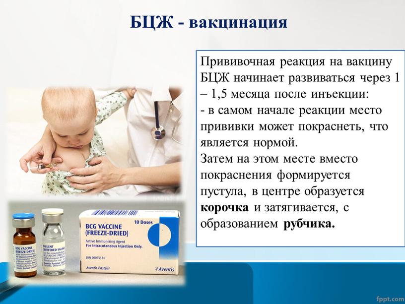 БЦЖ - вакцинация Прививочная реакция на вакцину