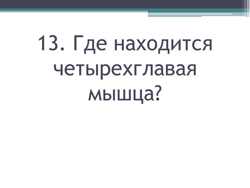 Где находится четырехглавая мышца?