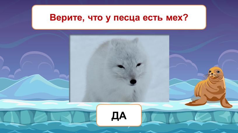 Верите, что у песца есть мех? ДА