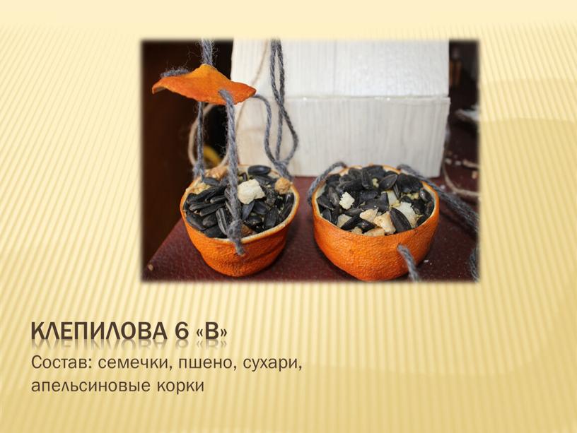 Клепилова 6 «В» Состав: семечки, пшено, сухари, апельсиновые корки
