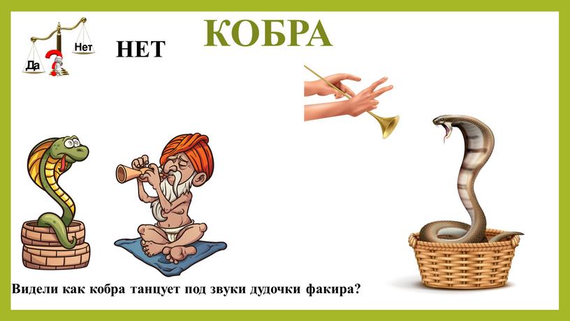 КОБРА Видели как кобра танцует под звуки дудочки факира?