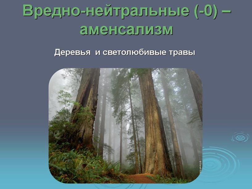 Взаимодействие популяций разных видов