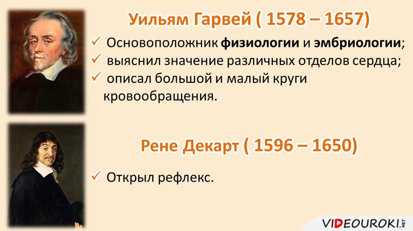 Уильям Гарвей ( 1578 – 1657)