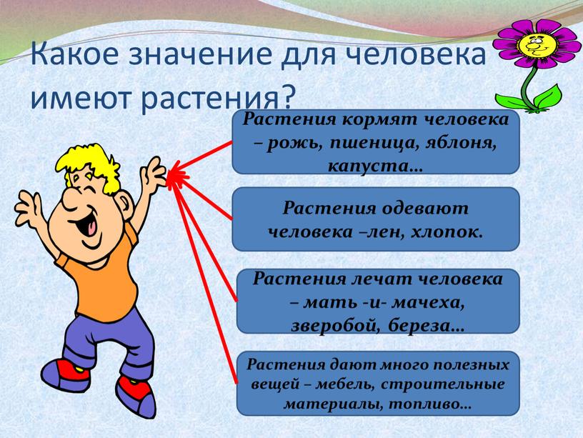 Какое значение для человека имеют растения?