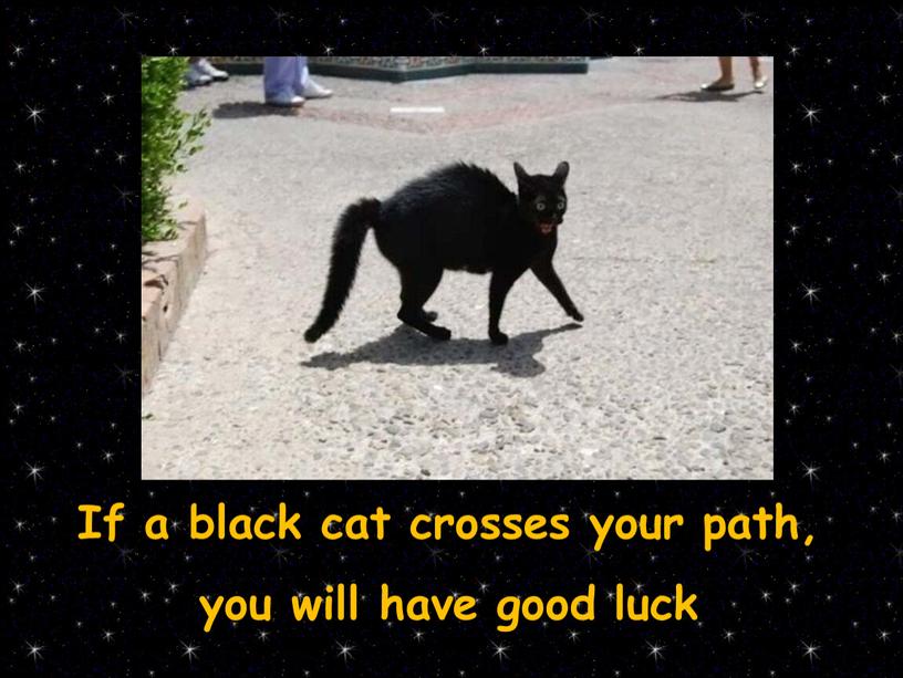 If a black cat crosses your path, you will have good luck