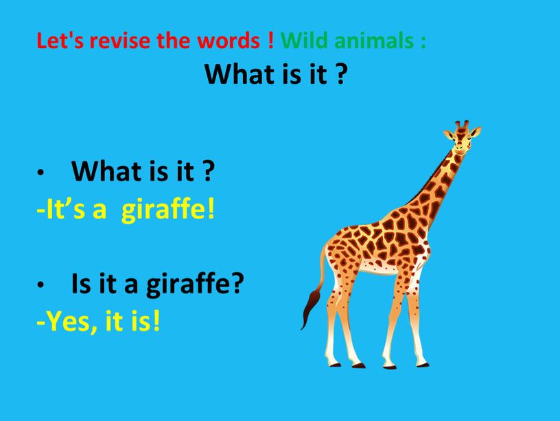 Let's revise the words ! Wild animals :