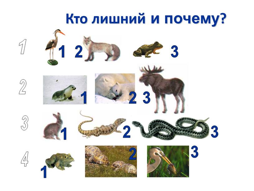 Кто лишний и почему? 1 2 3 1 2 3 1 2 2 3 3 1 1 2 3 4