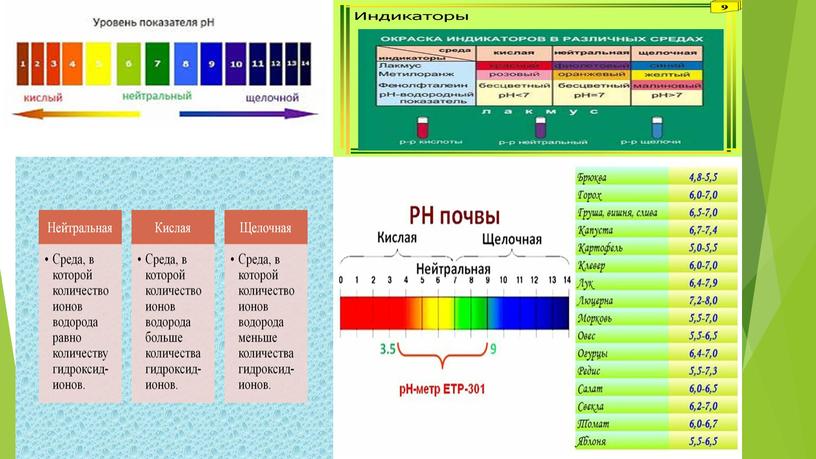 Исследовательский проект на тему: "Влияние рН воды на рост и развитие растений на примере бобовых"