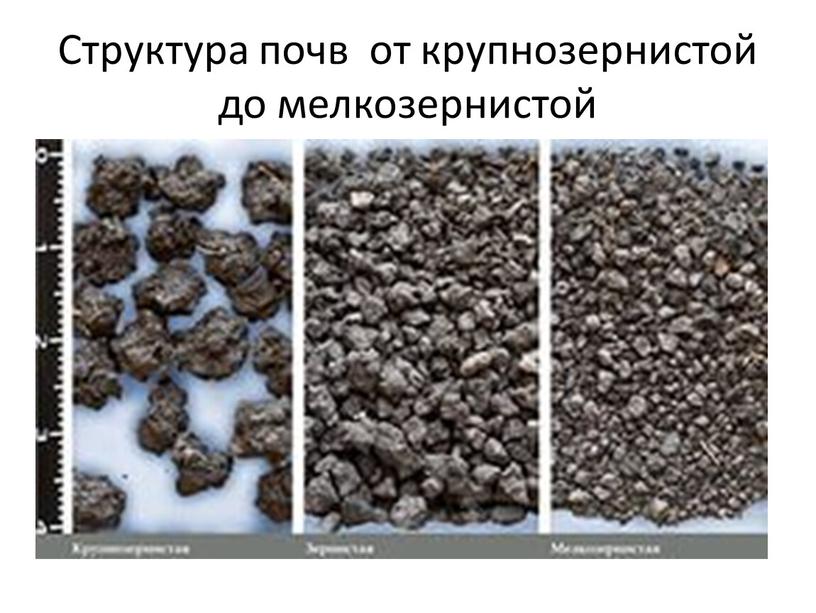 Структура почв от крупнозернистой до мелкозернистой