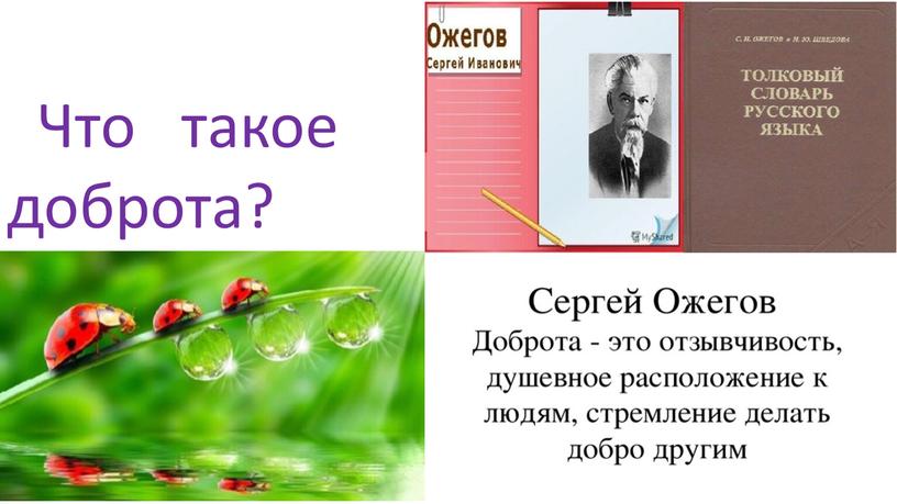 Что такое доброта?