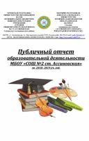 Обложка для материала Публичный отчет учебно-воспитательной деятельности ОУ