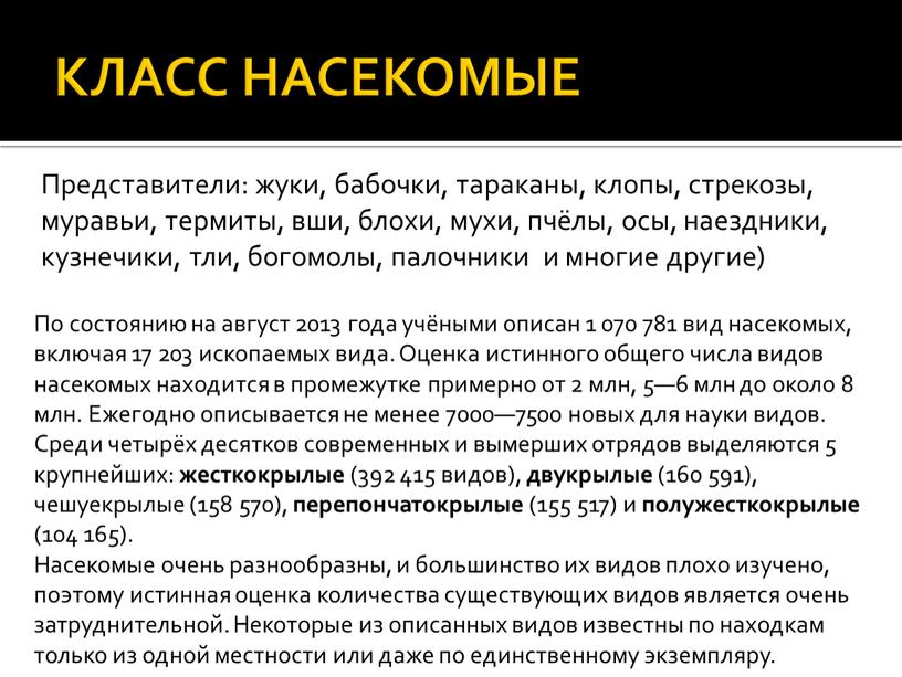 КЛАСС НАСЕКОМЫЕ Представители: жуки, бабочки, тараканы, клопы, стрекозы, муравьи, термиты, вши, блохи, мухи, пчёлы, осы, наездники, кузнечики, тли, богомолы, палочники и многие другие)