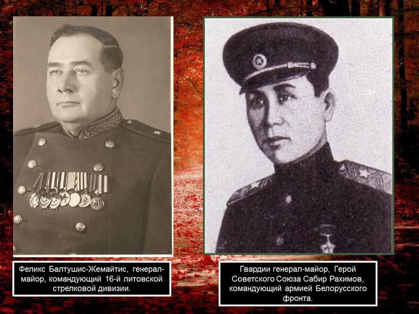 Феликс Балтушис-Жемайтис, генерал-майор, командующий 16-й литовской стрелковой дивизии