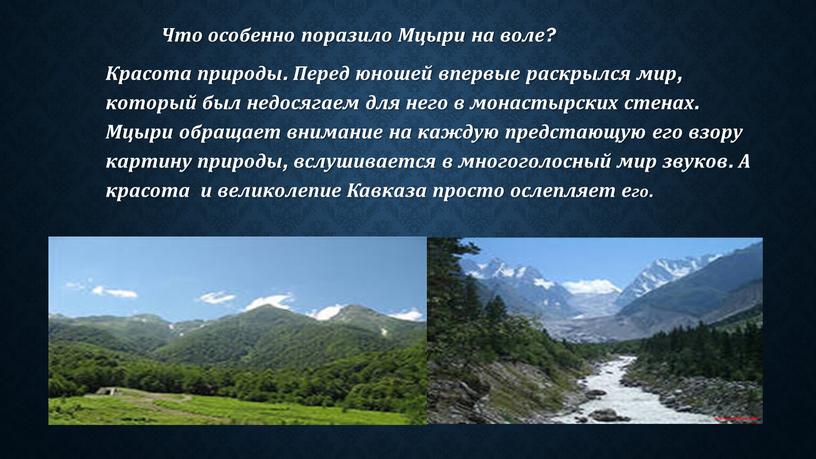 Что особенно поразило Мцыри на воле?