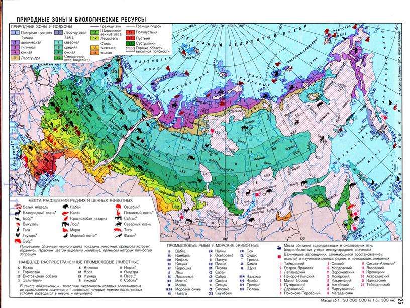 Интегрированный урок    (окружающий мир,математика, русский язык,)