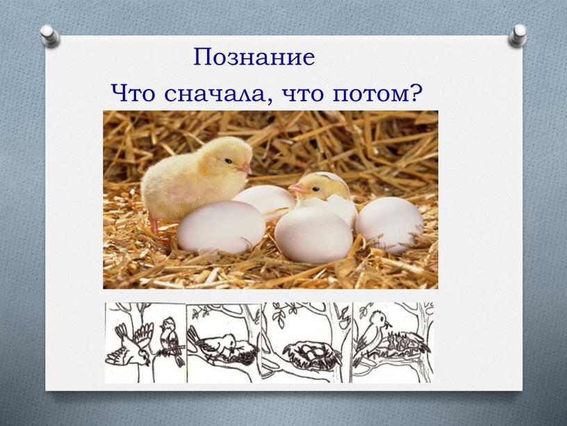 Что сначала, что потом? Познание