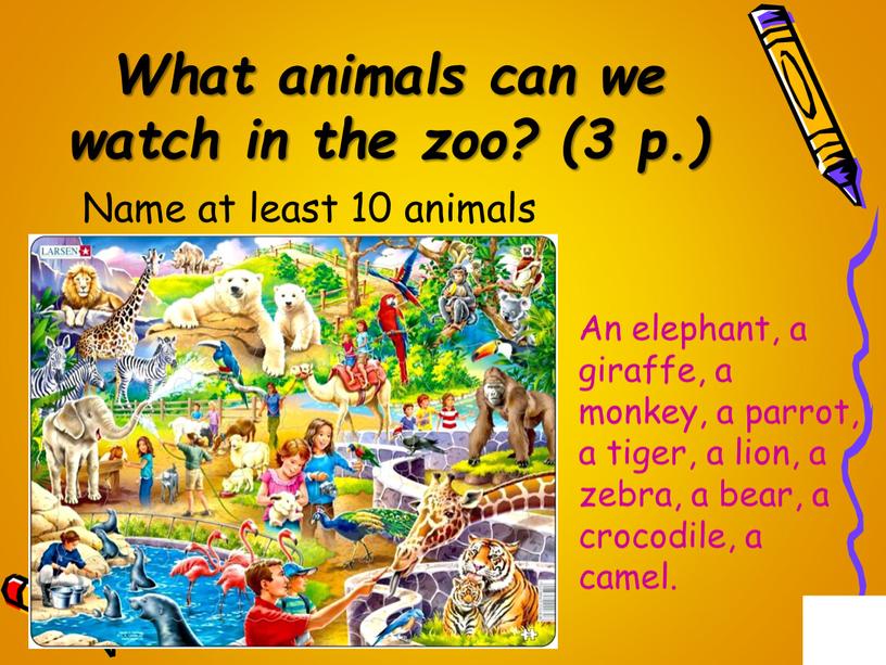 What animals can we watch in the zoo? (3 p